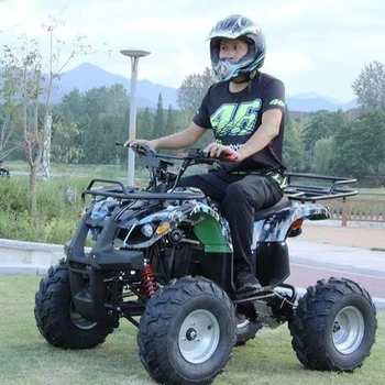 2022 Dospelých E-ATV 800W 60V 32A štyroch kolies motocykla, 4 kolár, elektrické štvorkolky ATV pre Dospelých